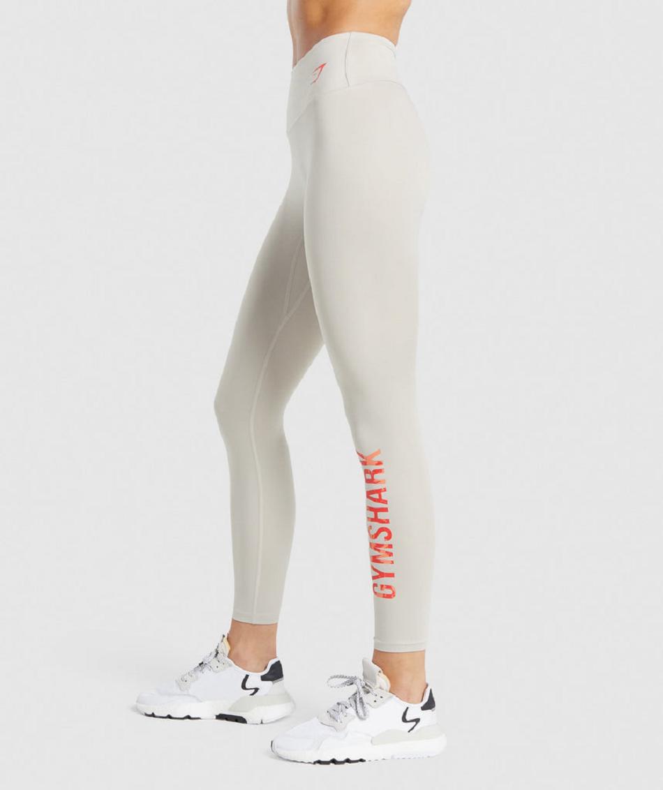 Legginsy Damskie Gymshark Treningowe Grafiką Szare | PL 2283EBC